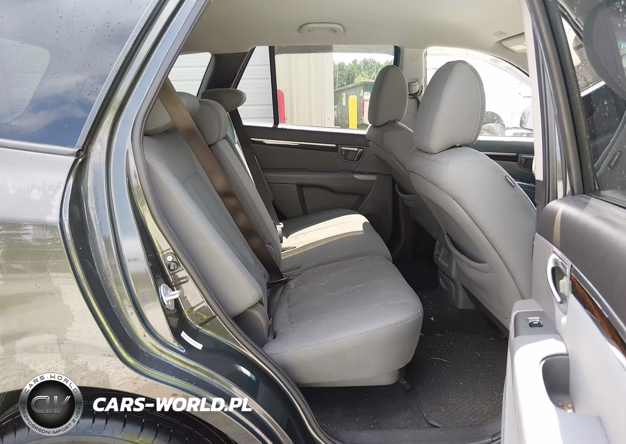 2010 Hyundai Santa Fe Gls VIN:5NMSG3AB0AH389729 - 8