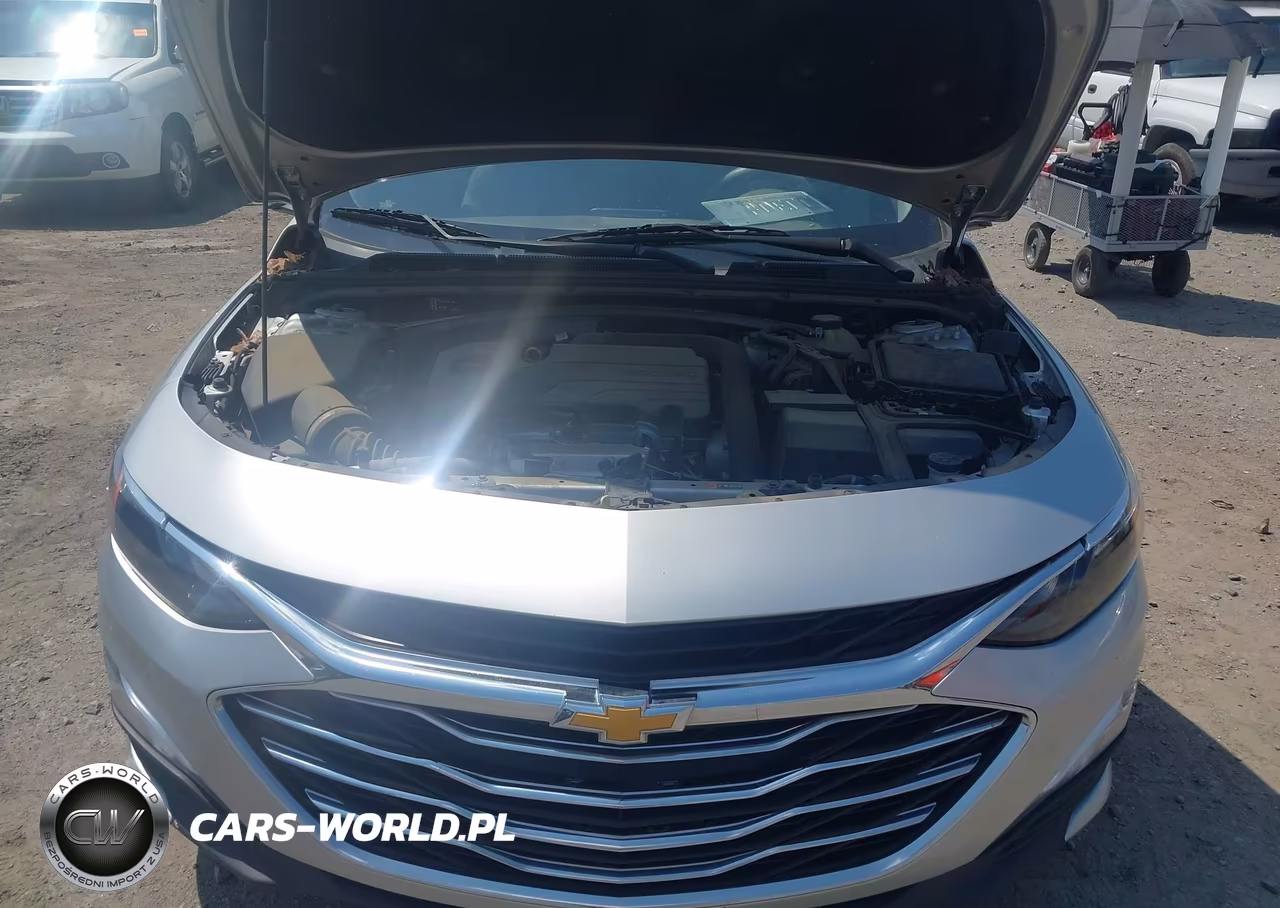 2020 Chevrolet Malibu Fwd 1Fl VIN:1G1ZC5ST7LF065067 - 10