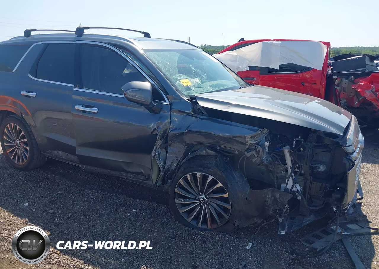2024 Hyundai Palisade Calligraphy VIN:KM8R74GE6RU753528 - 6