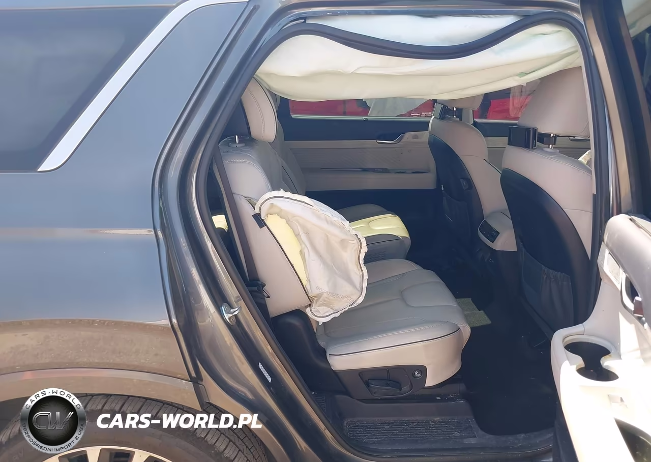 2024 Hyundai Palisade Calligraphy VIN:KM8R74GE6RU753528 - 8
