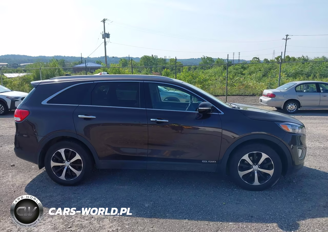 2017 Kia Sorento 3.3L Ex VIN:5XYPHDA54HG188746 - 13