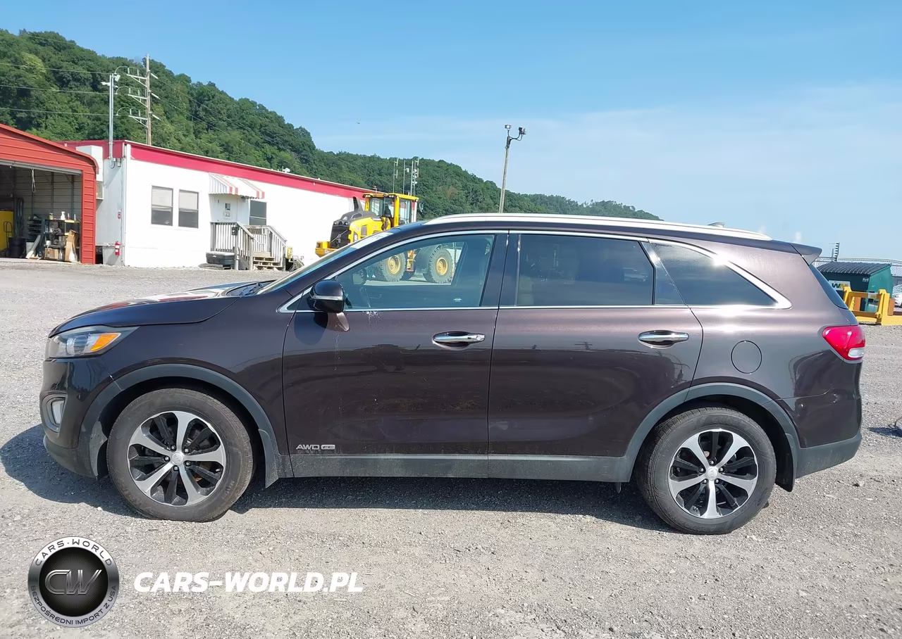 2017 Kia Sorento 3.3L Ex VIN:5XYPHDA54HG188746 - 14