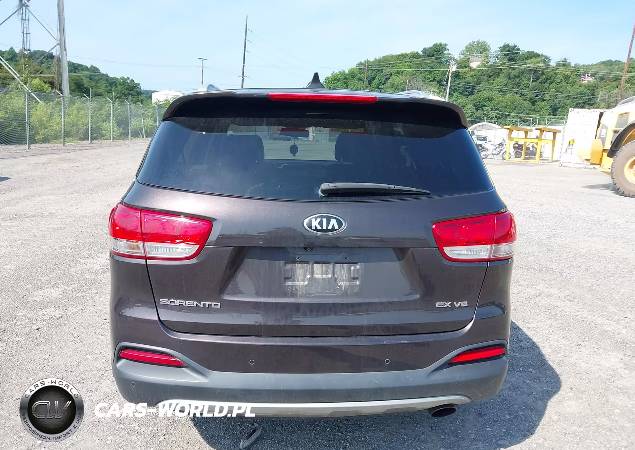 2017 Kia Sorento 3.3L Ex VIN:5XYPHDA54HG188746 - 16