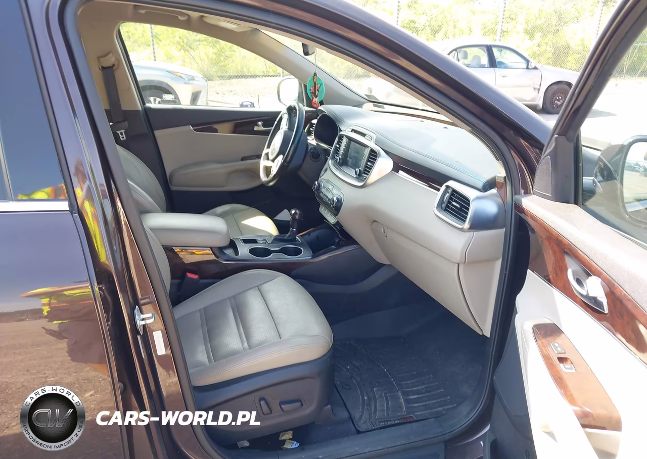 2017 Kia Sorento 3.3L Ex VIN:5XYPHDA54HG188746 - 5