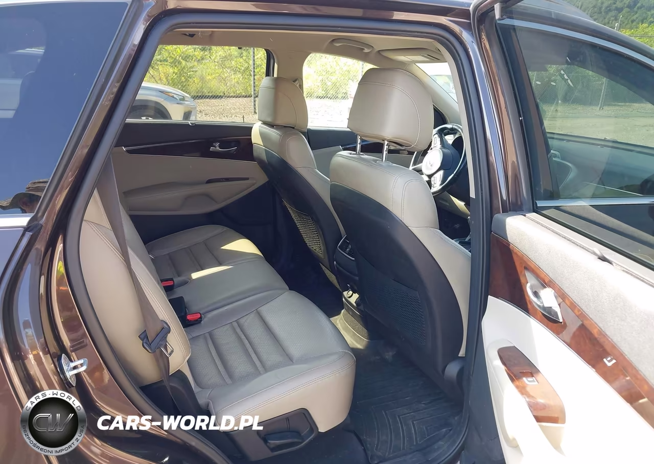 2017 Kia Sorento 3.3L Ex VIN:5XYPHDA54HG188746 - 8