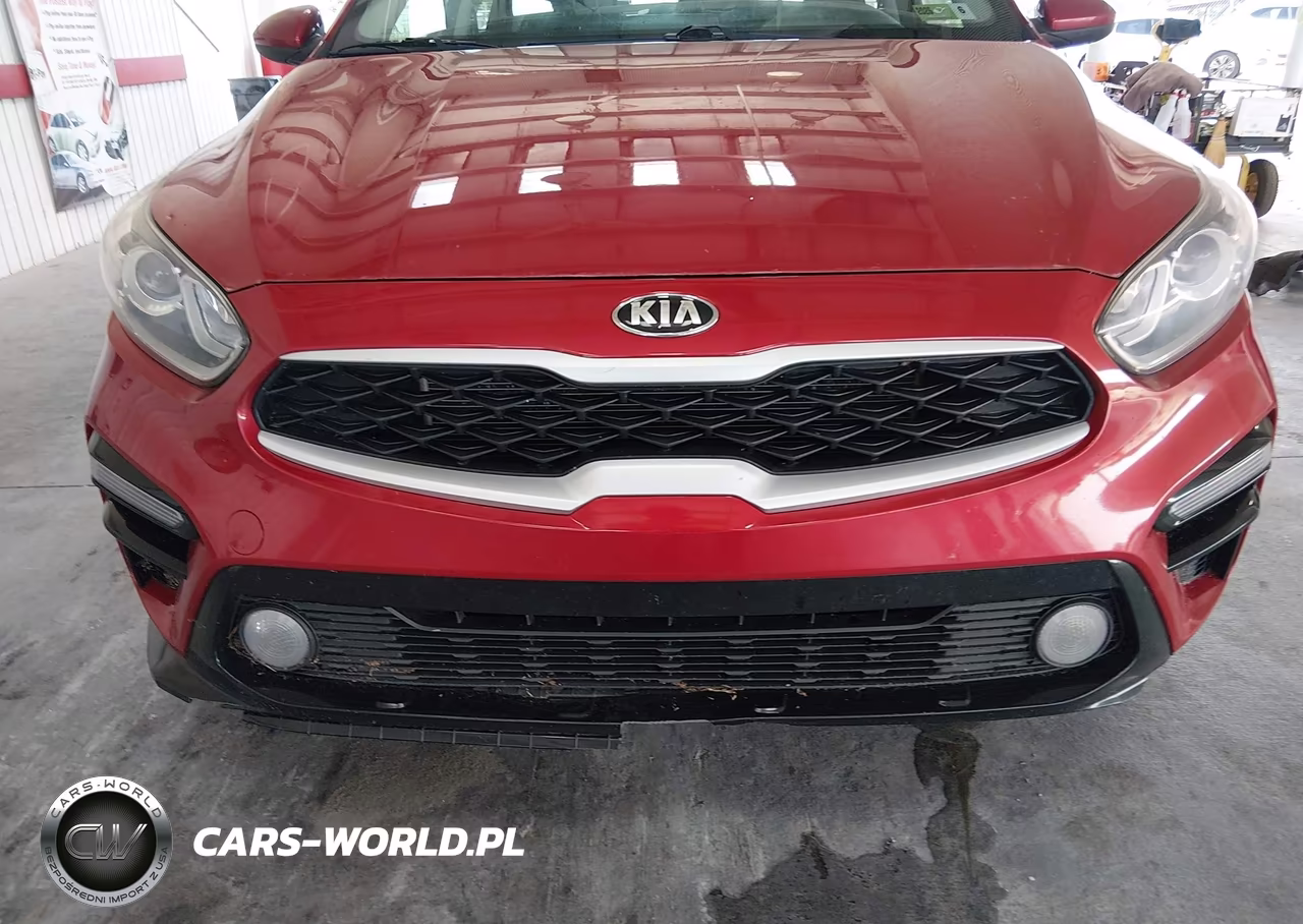 2019 Kia Forte Lxs VIN:3KPF24AD4KE036653 - 13