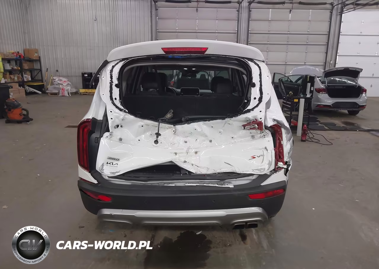 2020 Kia Telluride S VIN:5XYP6DHC1LG033509 - 17