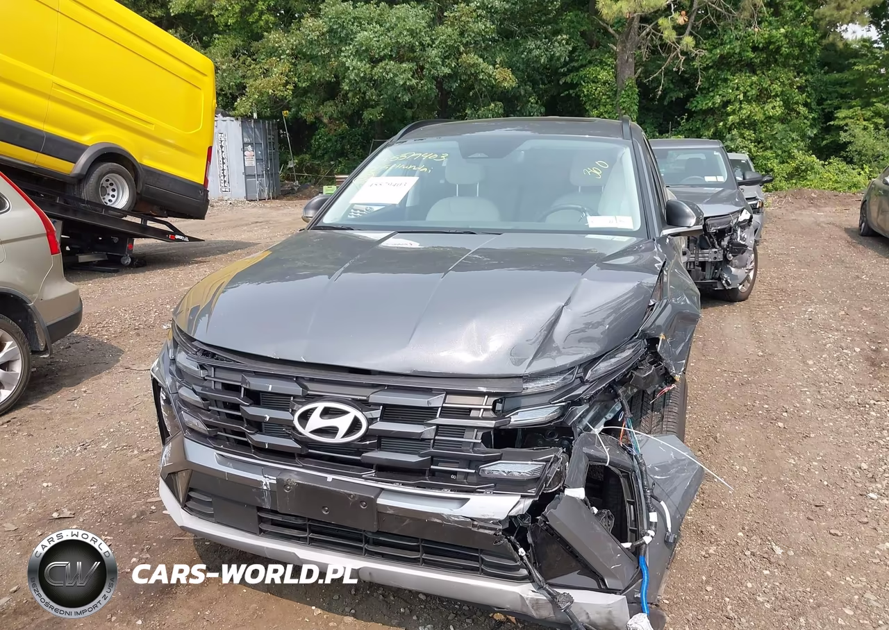 2025 Hyundai Tucson Sel Convenience VIN:5NMJCCDE3SH553635 - 12