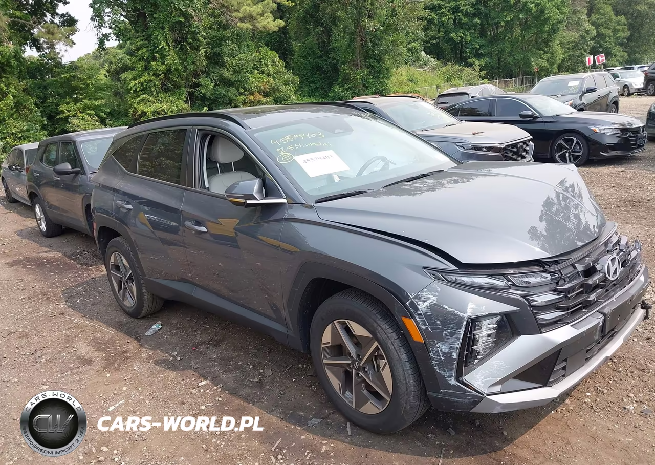 2025 Hyundai Tucson Sel Convenience VIN:5NMJCCDE3SH553635 - 13