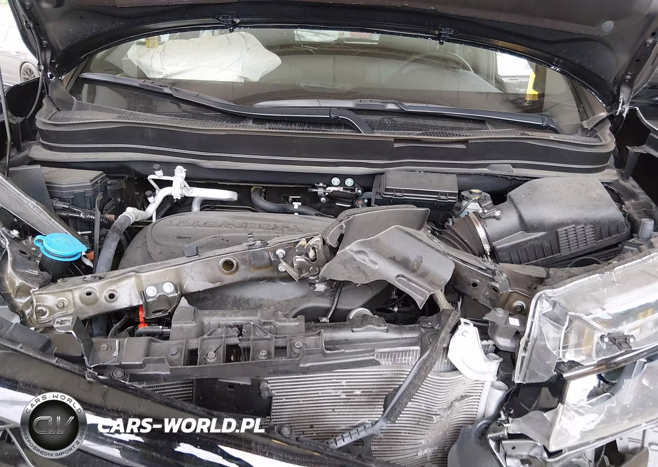 2023 Honda Passport Awd Elite VIN:5FNYF8H03PB029184 - 10