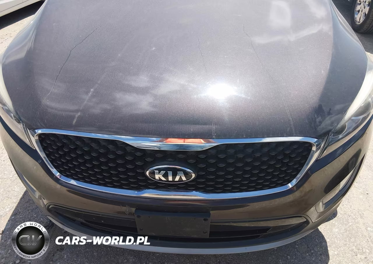 2016 Kia Sorento 2.0T Ex VIN:5XYPH4A12GG145180 - 12