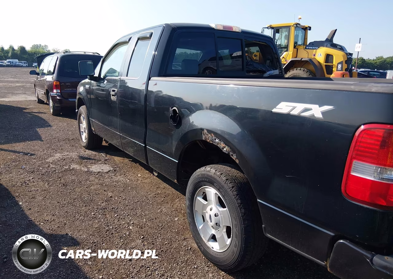 2006 Ford F-150 Stx-Xl-Xlt VIN:1FTRX12W16FA16806 - 6