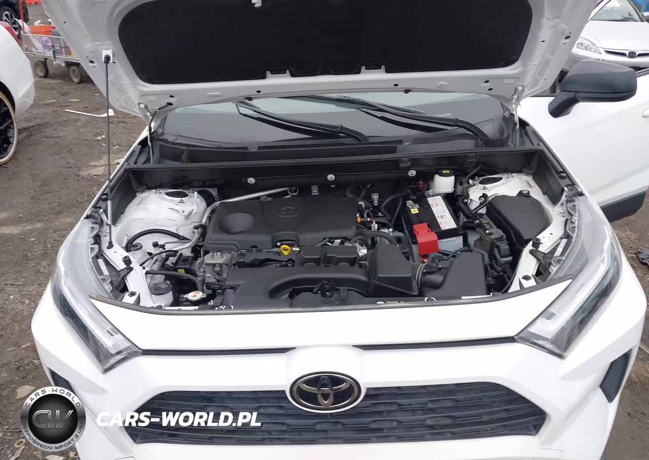 2023 Toyota Rav4 Le VIN:JTMH1RFV0PD100884 - 10