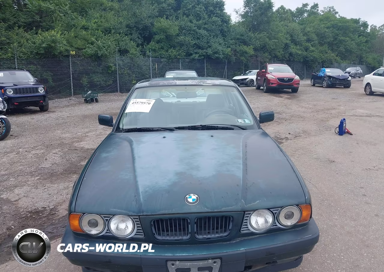1994 BMW 530 I Automatic VIN:WBAHE2312RGE84424 - 6
