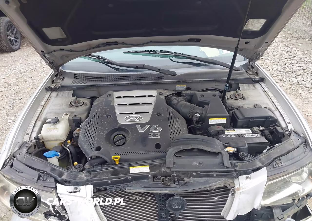 2007 Hyundai Sonata Limited-Limited W-Xm-Se-Se W-Xm VIN:5NPEU46F67H233214 - 10