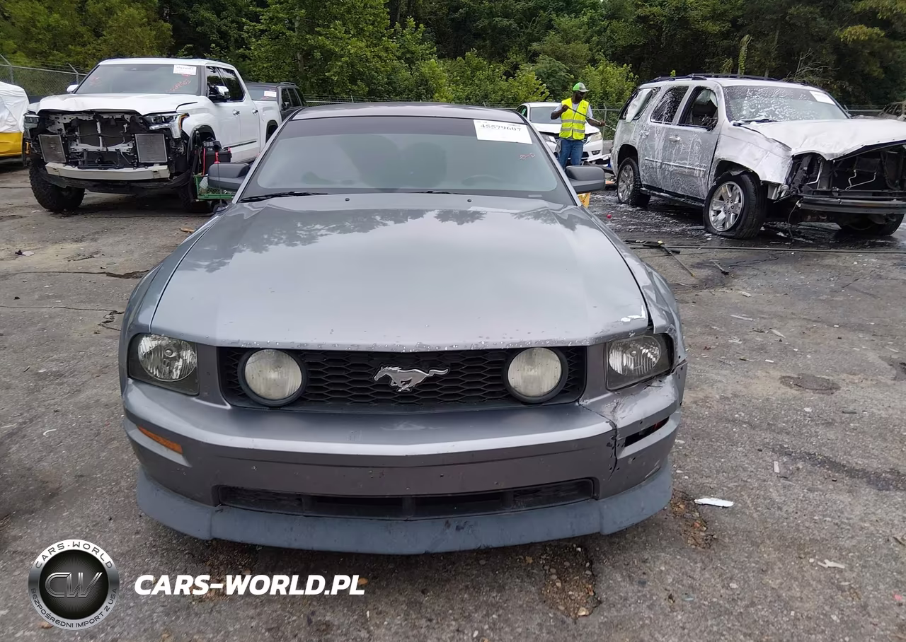 2007 Ford Mustang Gt Deluxe-Gt Premium VIN:1ZVHT82H975196039 - 12
