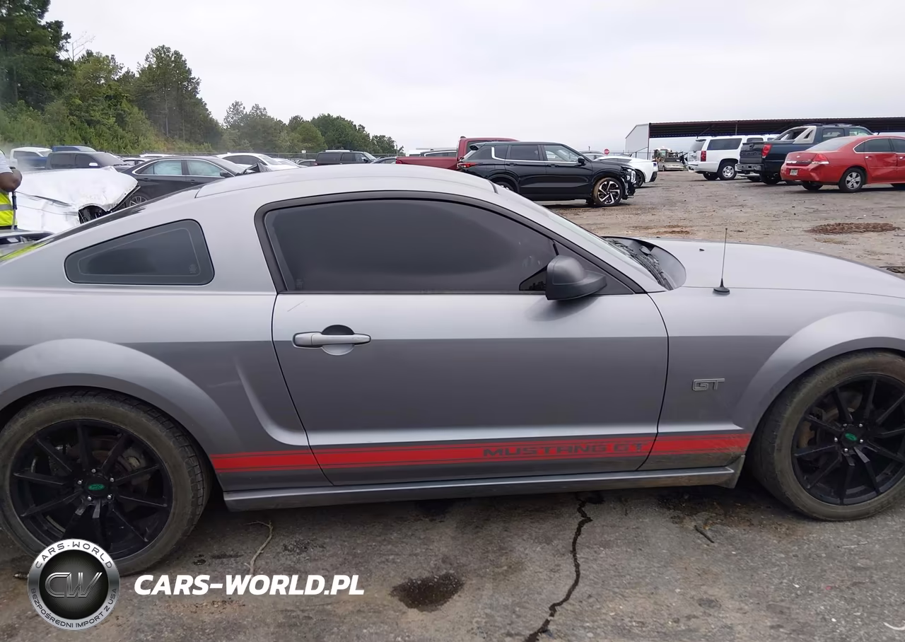 2007 Ford Mustang Gt Deluxe-Gt Premium VIN:1ZVHT82H975196039 - 13