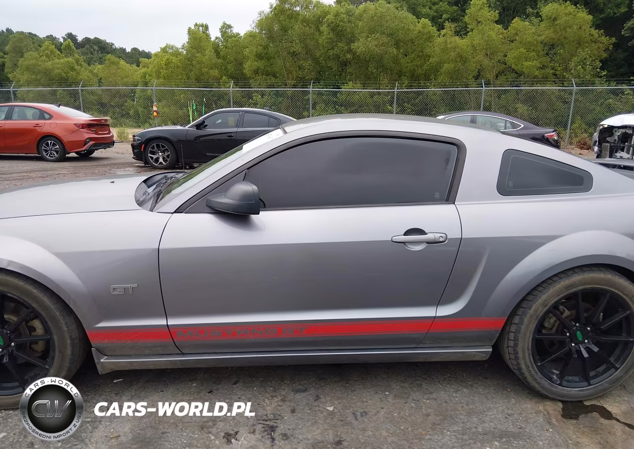 2007 Ford Mustang Gt Deluxe-Gt Premium VIN:1ZVHT82H975196039 - 14