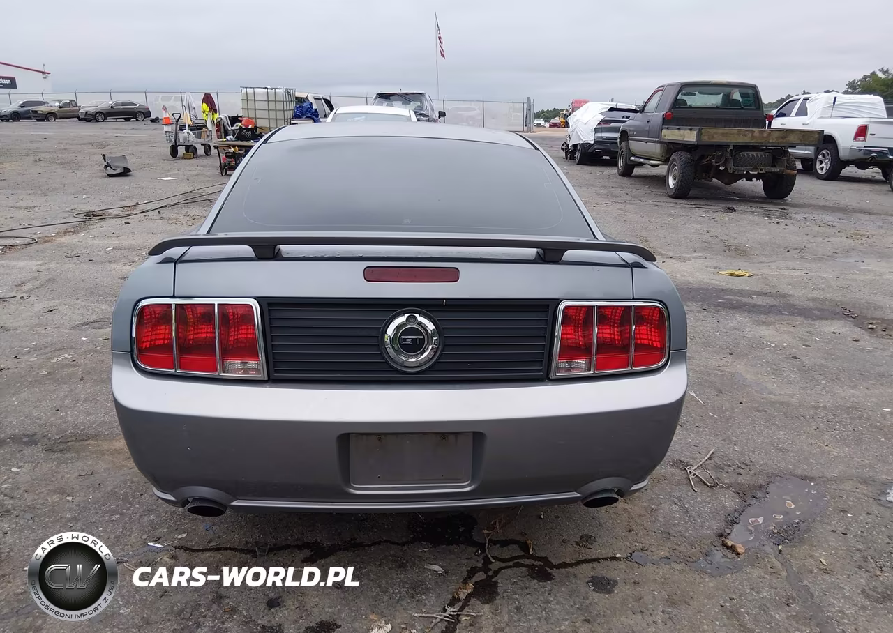 2007 Ford Mustang Gt Deluxe-Gt Premium VIN:1ZVHT82H975196039 - 16