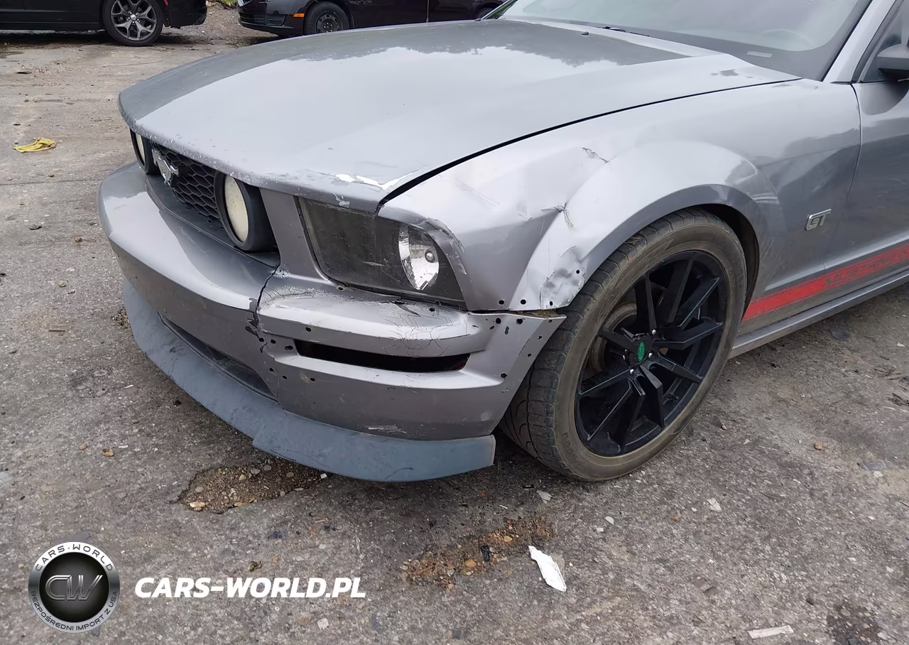 2007 Ford Mustang Gt Deluxe-Gt Premium VIN:1ZVHT82H975196039 - 17