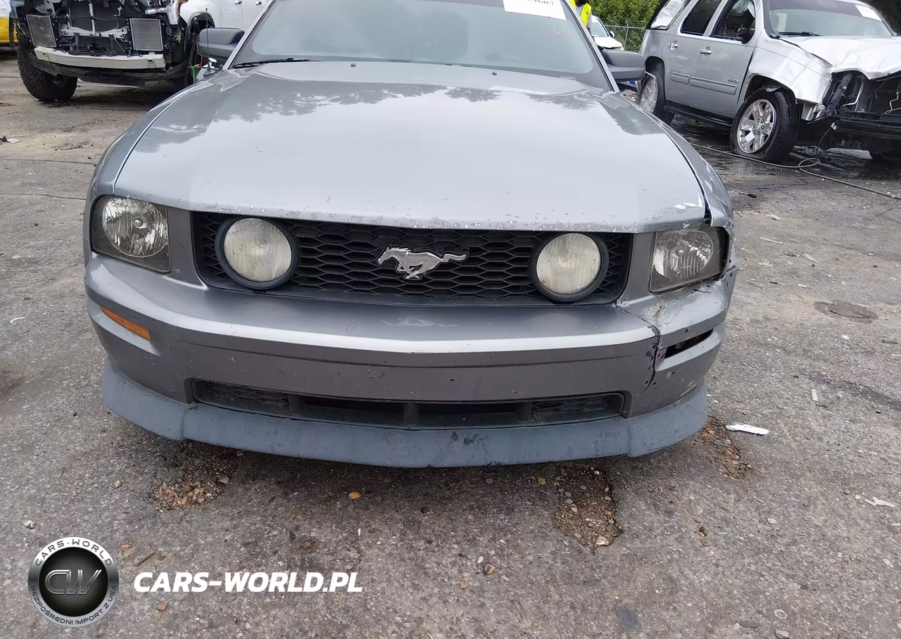 2007 Ford Mustang Gt Deluxe-Gt Premium VIN:1ZVHT82H975196039 - 18