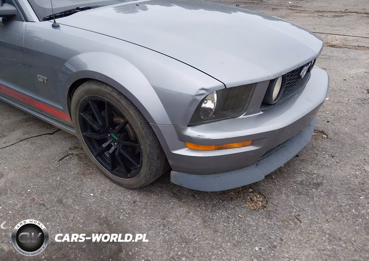 2007 Ford Mustang Gt Deluxe-Gt Premium VIN:1ZVHT82H975196039 - 19