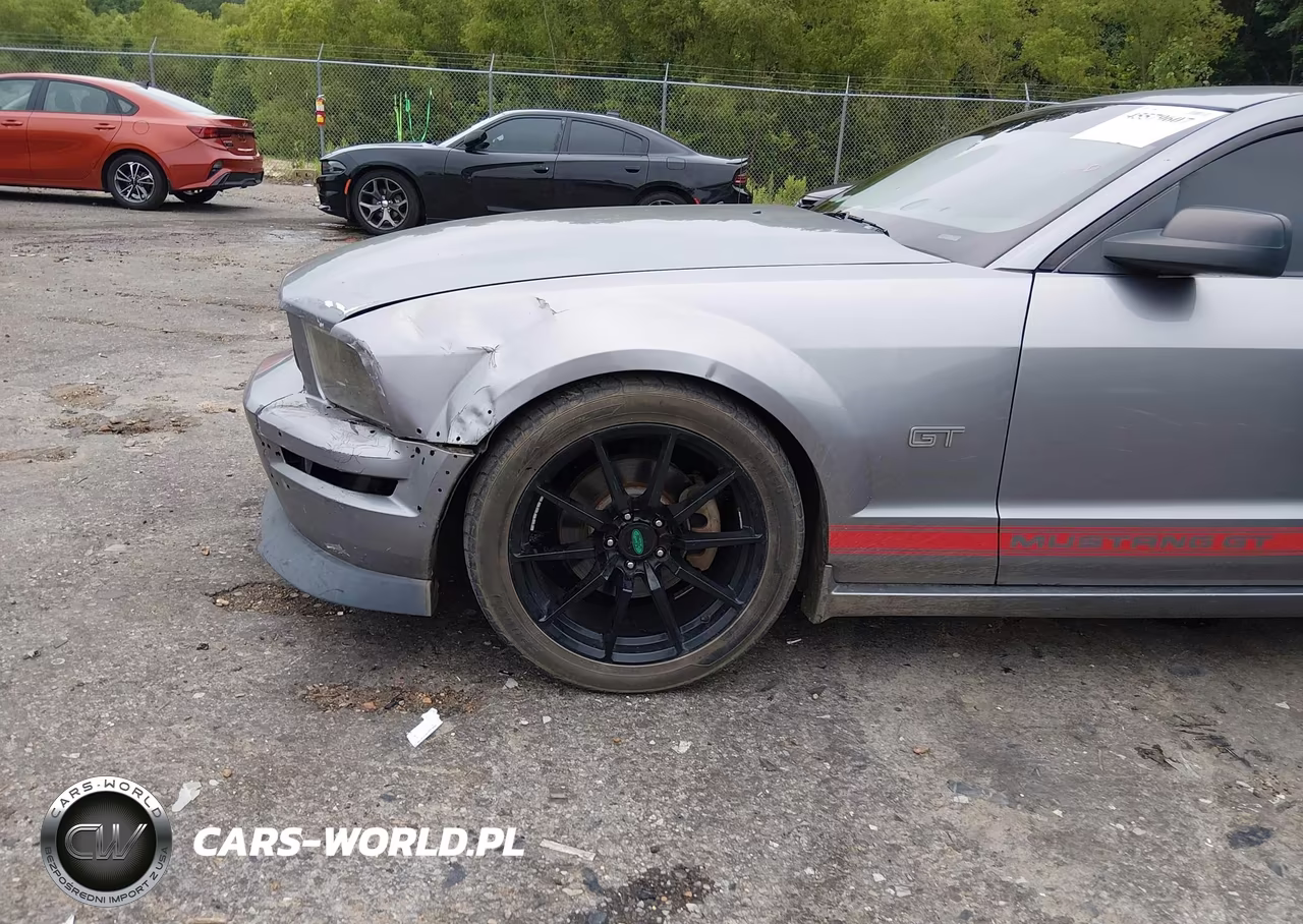 2007 Ford Mustang Gt Deluxe-Gt Premium VIN:1ZVHT82H975196039 - 6