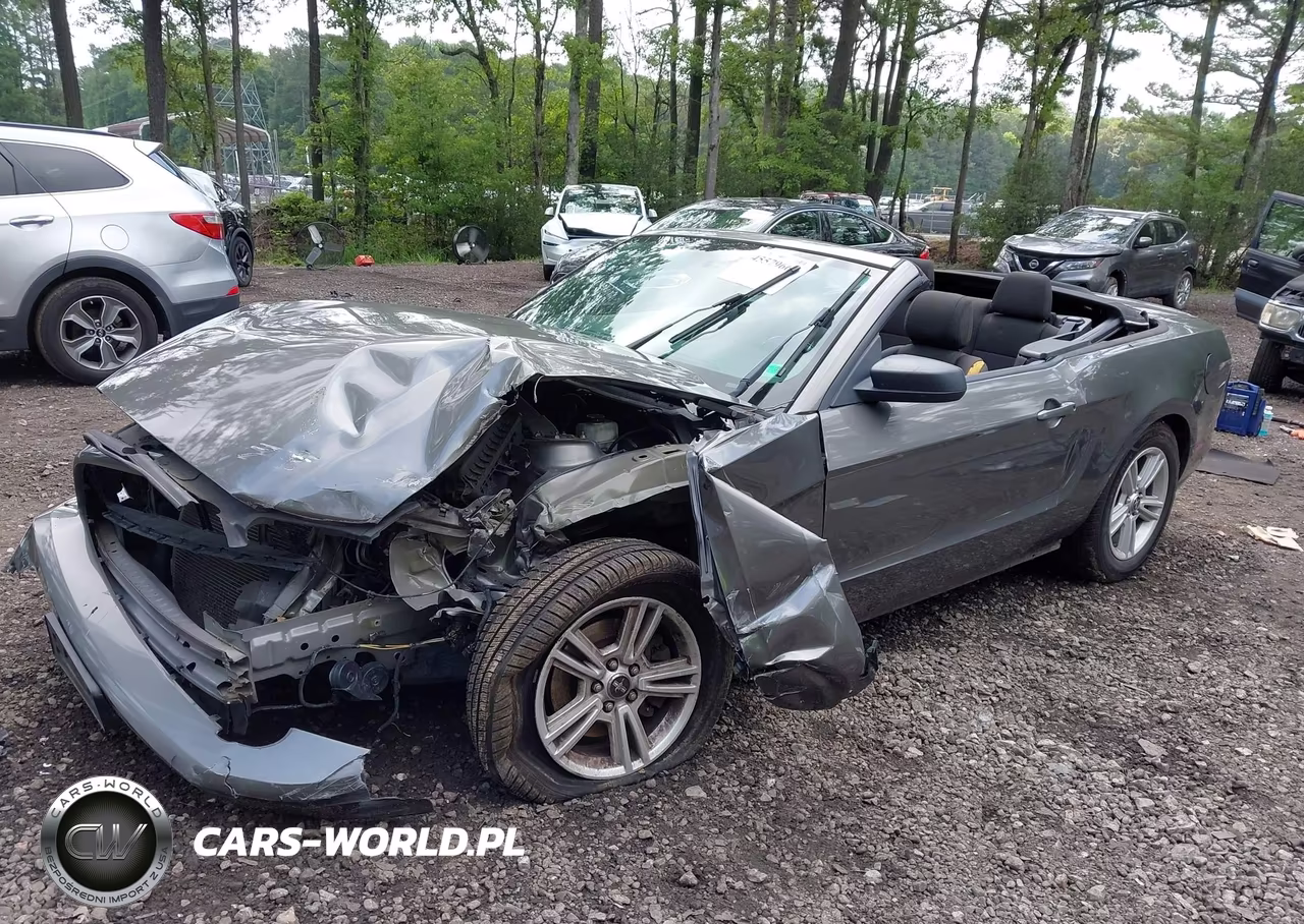 2014 Ford Mustang V6 VIN:1ZVBP8EM0E5264843 - 2