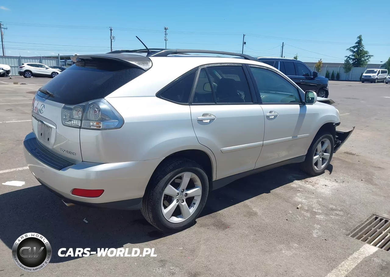 2004 Lexus Rx 330 VIN:JTJHA31U840050568 - 4