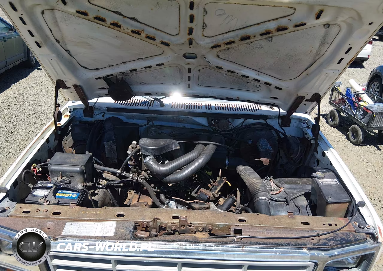 1986 Ford F150 VIN:1FTEX14N0GKB77434 - 10