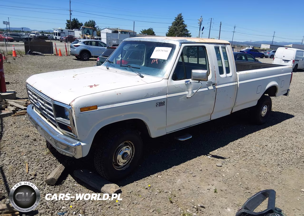 1986 Ford F150 VIN:1FTEX14N0GKB77434 - 2