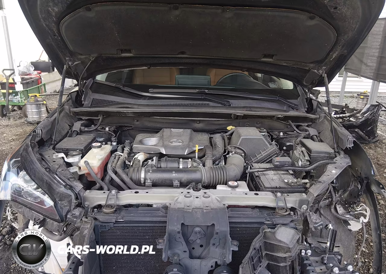 2019 Lexus Nx 300 VIN:JTJBARBZ9K2210994 - 10
