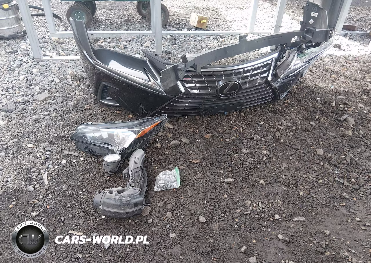 2019 Lexus Nx 300 VIN:JTJBARBZ9K2210994 - 12