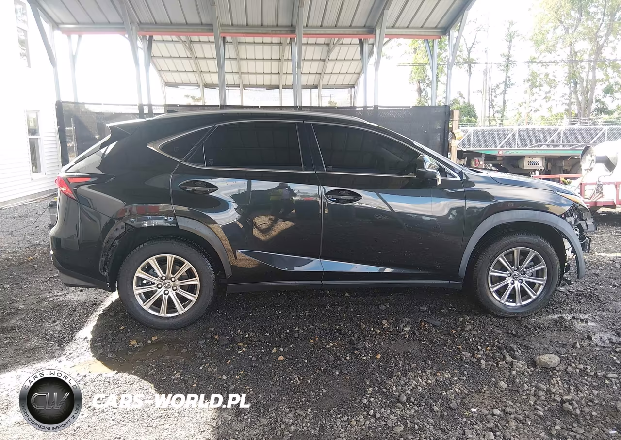 2019 Lexus Nx 300 VIN:JTJBARBZ9K2210994 - 14