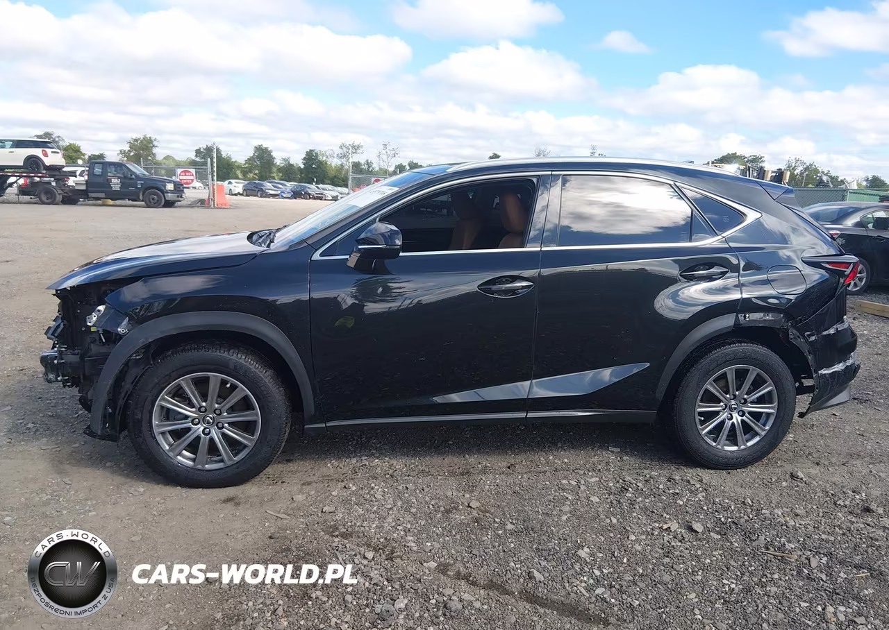 2019 Lexus Nx 300 VIN:JTJBARBZ9K2210994 - 15