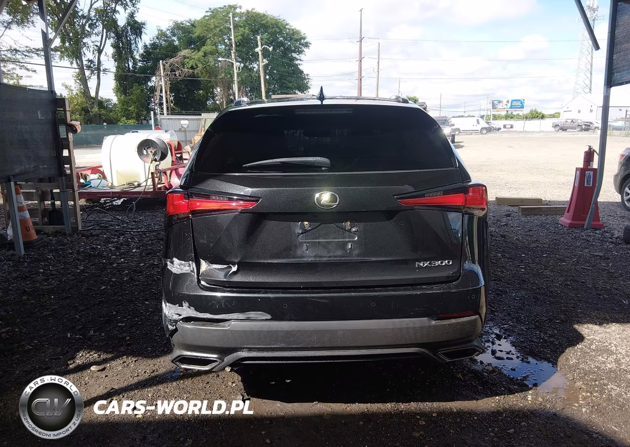 2019 Lexus Nx 300 VIN:JTJBARBZ9K2210994 - 17