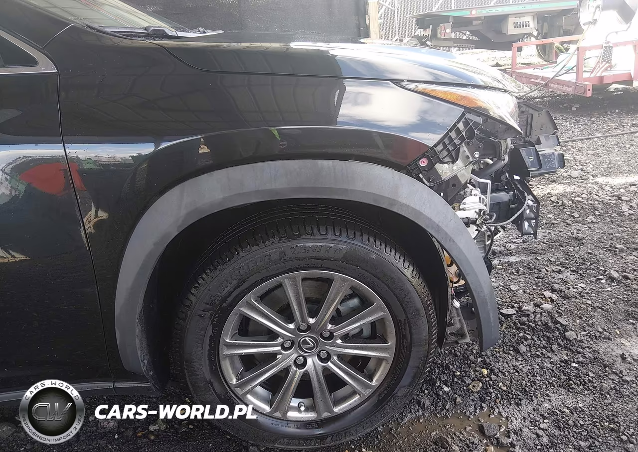 2019 Lexus Nx 300 VIN:JTJBARBZ9K2210994 - 18