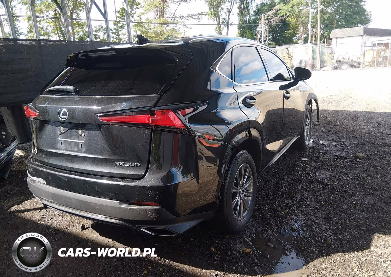 2019 Lexus Nx 300 VIN:JTJBARBZ9K2210994 - 2