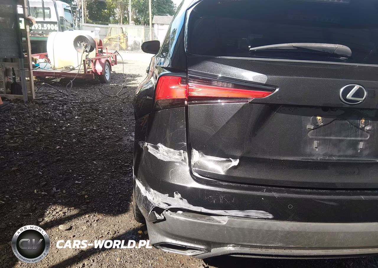 2019 Lexus Nx 300 VIN:JTJBARBZ9K2210994 - 21