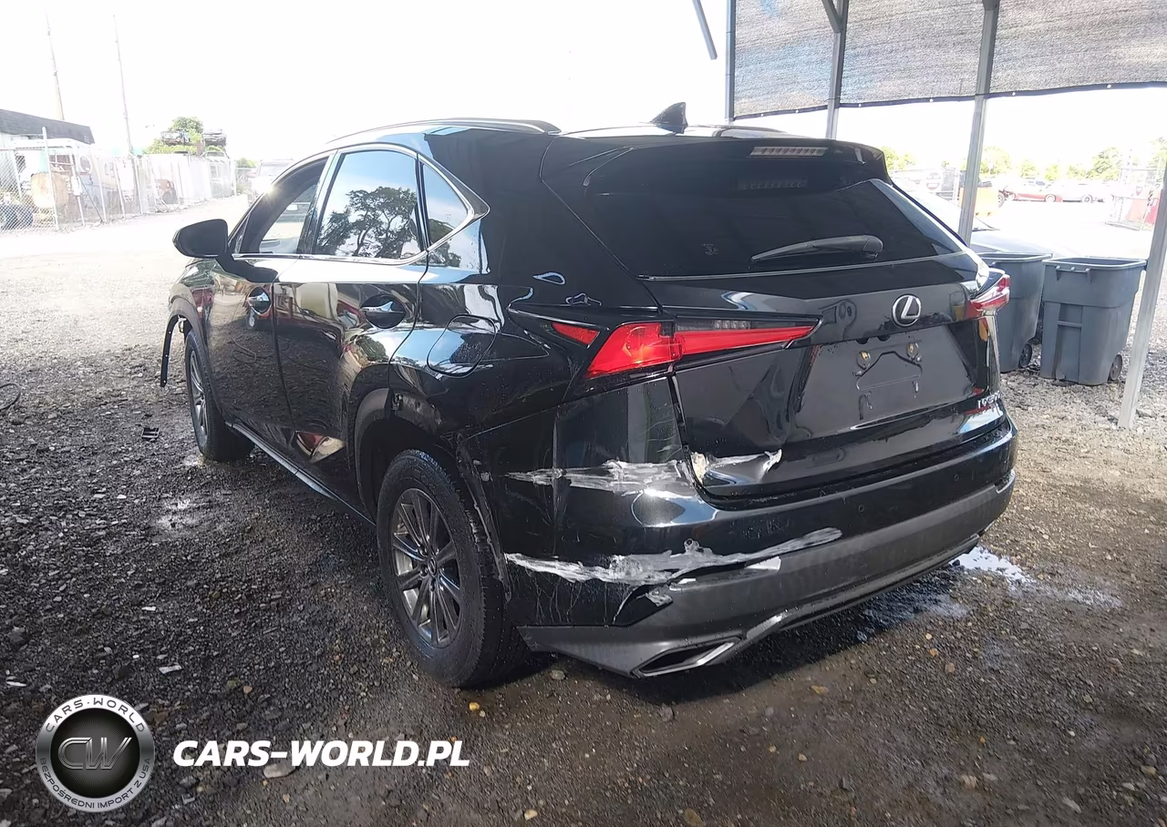 2019 Lexus Nx 300 VIN:JTJBARBZ9K2210994 - 3