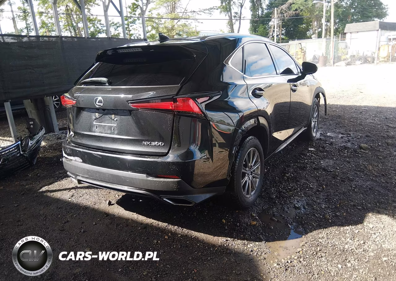 2019 Lexus Nx 300 VIN:JTJBARBZ9K2210994 - 4
