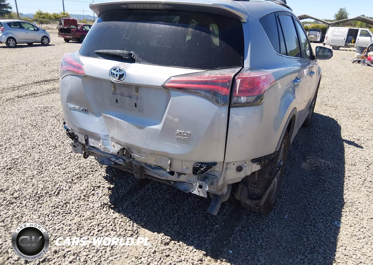 2017 Toyota Rav4 Xle VIN:2T3RFREV2HW687617 - 20