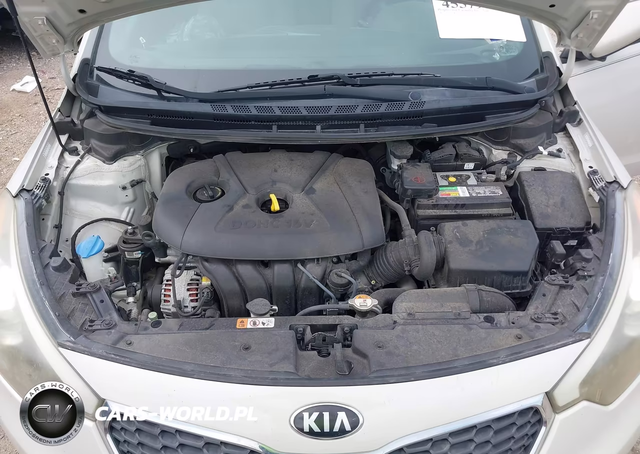 2015 Kia Forte Lx VIN:KNAFK4A63F5419998 - 10