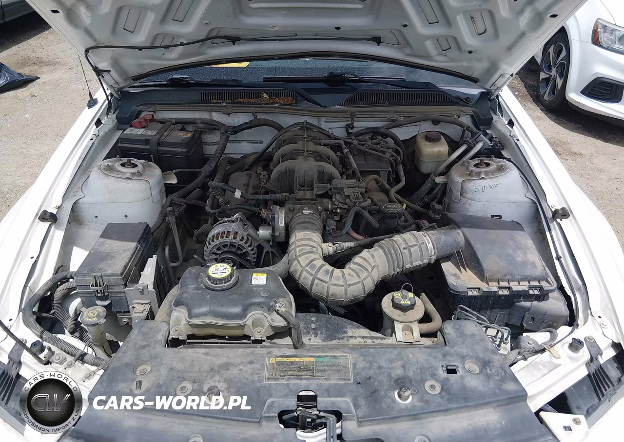 2007 Ford Mustang V6 Deluxe-V6 Premium VIN:1ZVFT80N475351984 - 10