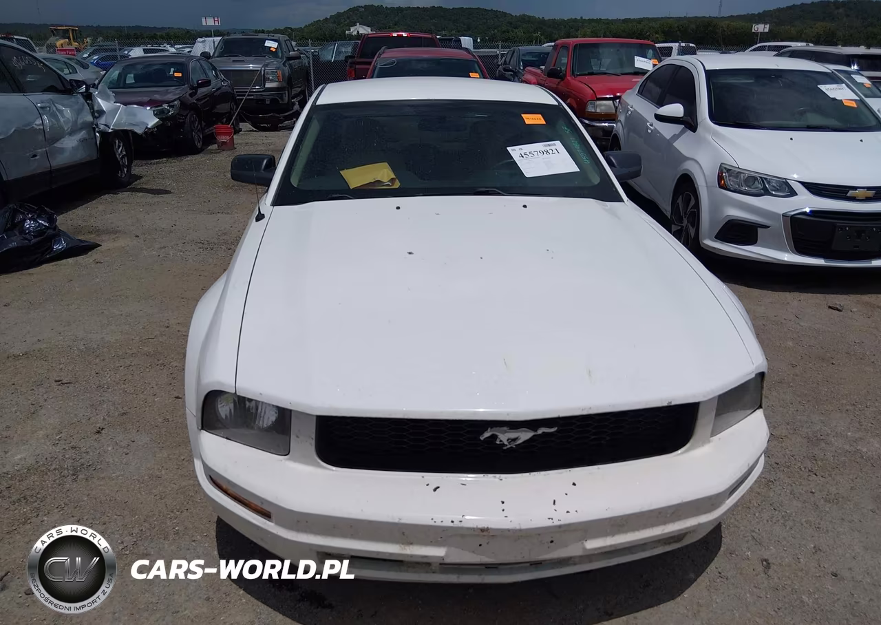 2007 Ford Mustang V6 Deluxe-V6 Premium VIN:1ZVFT80N475351984 - 12