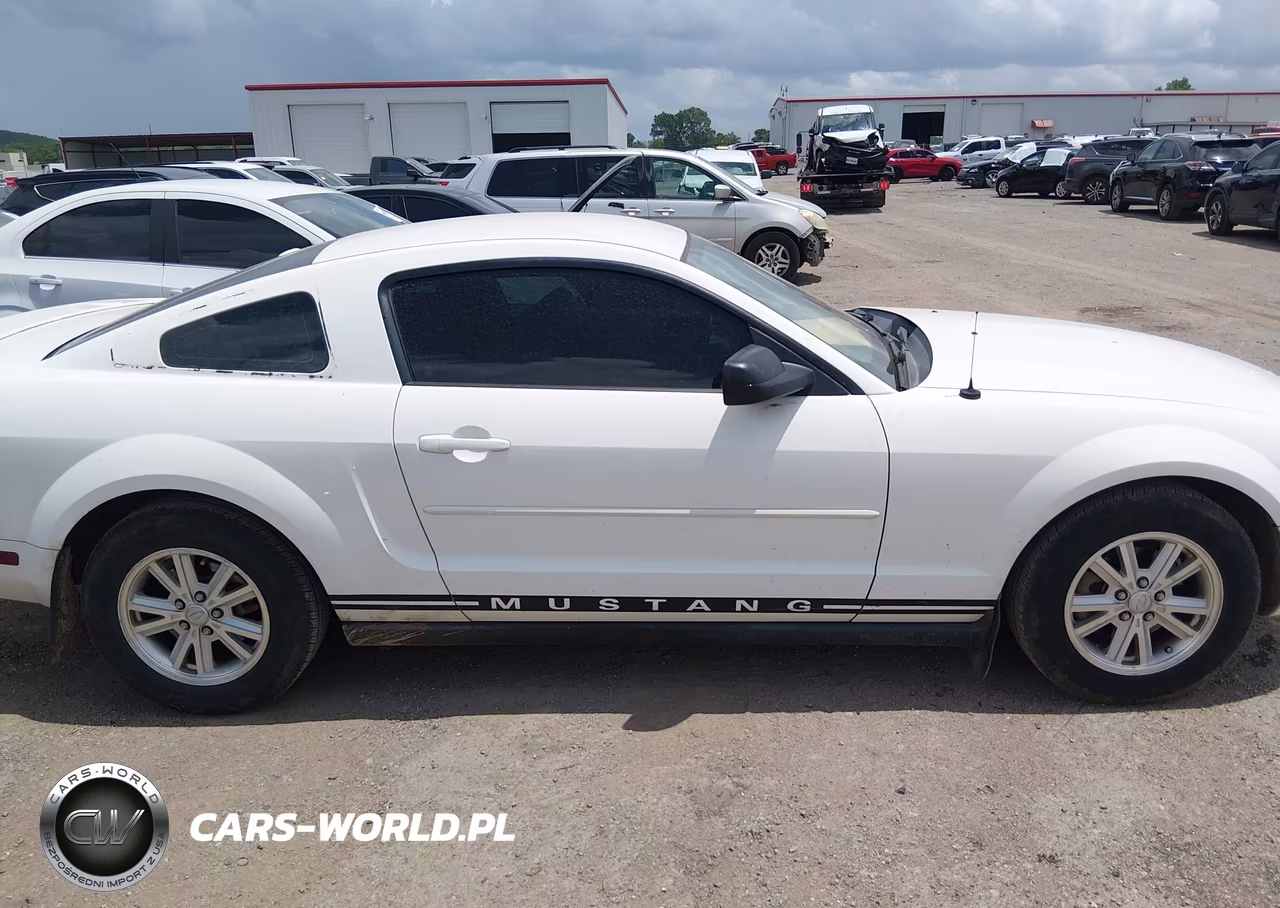 2007 Ford Mustang V6 Deluxe-V6 Premium VIN:1ZVFT80N475351984 - 13