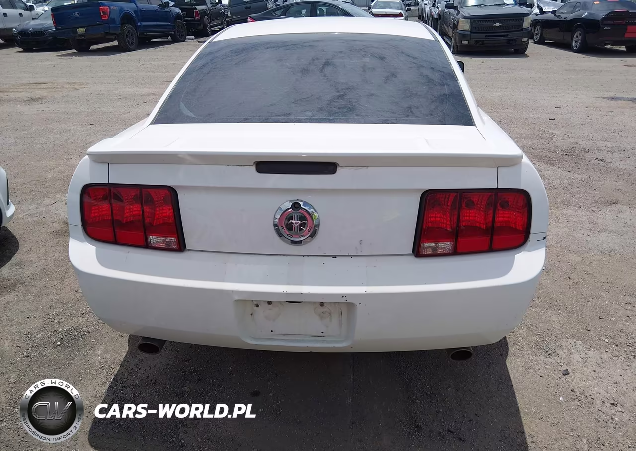 2007 Ford Mustang V6 Deluxe-V6 Premium VIN:1ZVFT80N475351984 - 16