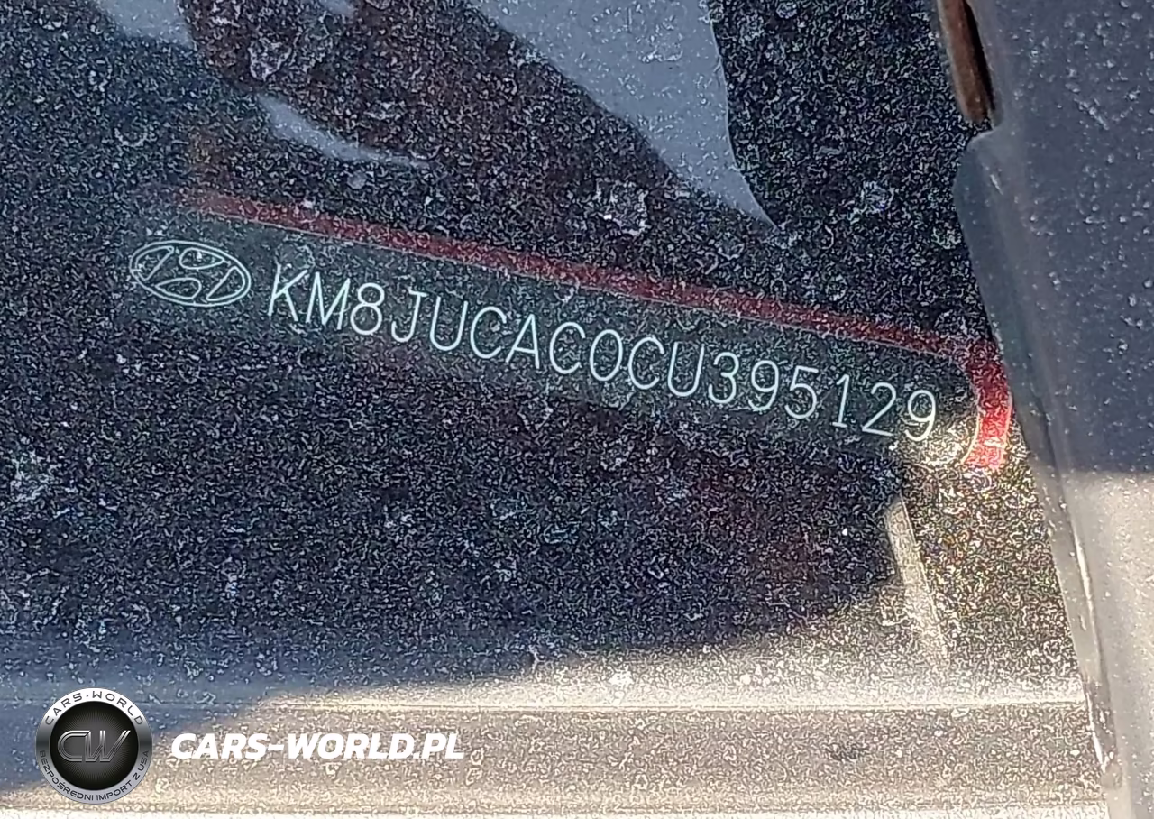 2012 Hyundai Tucson Gls VIN:KM8JUCAC0CU395129 - 12