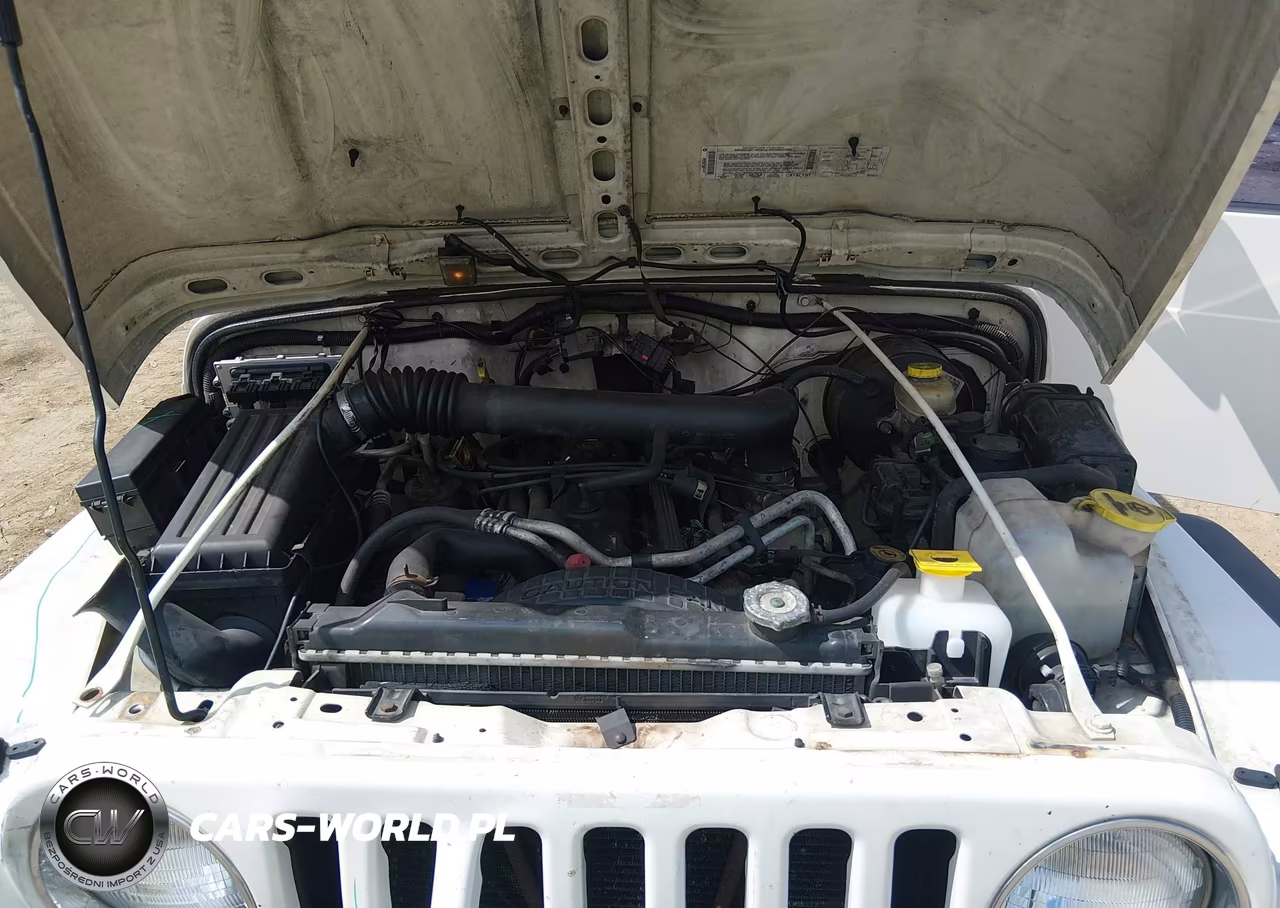 2001 Jeep Wrangler Sport VIN:1J4FA49S11P368015 - 10