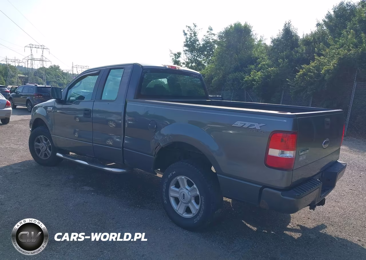 2005 Ford F-150 Stx-Xl-Xlt VIN:1FTRX14W65NA79627 - 3